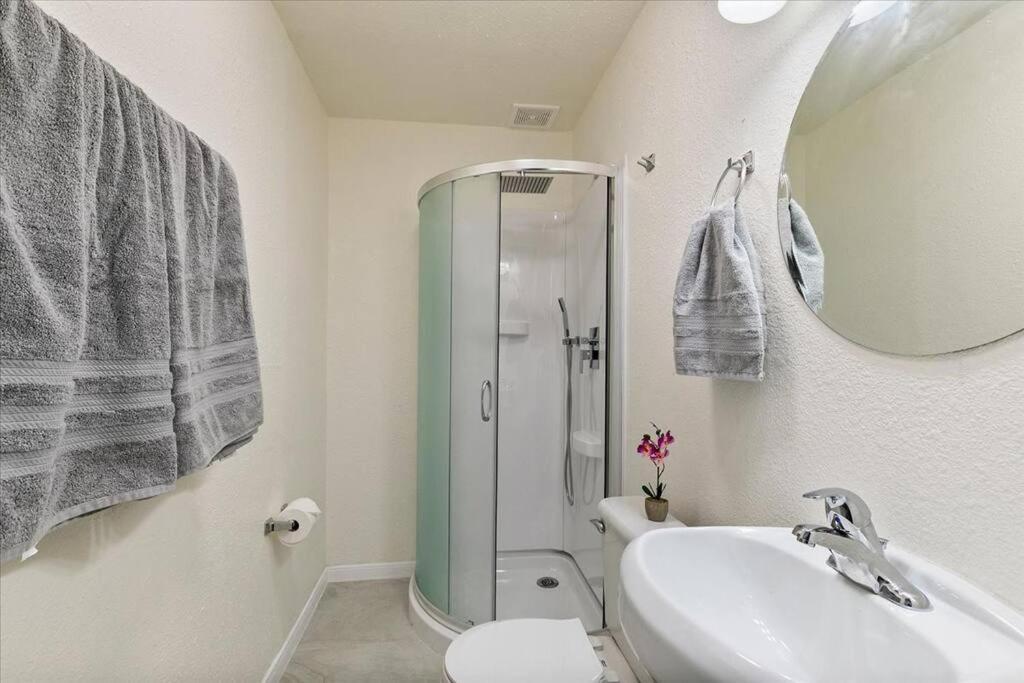 Lucky House - Tranquility In The Middle Of Houston - Tv In Every Room - 300 M2 Ngoại thất bức ảnh