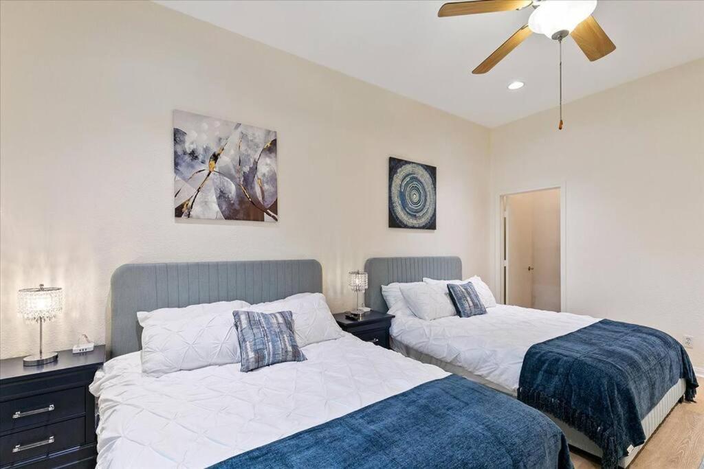 Lucky House - Tranquility In The Middle Of Houston - Tv In Every Room - 300 M2 Ngoại thất bức ảnh